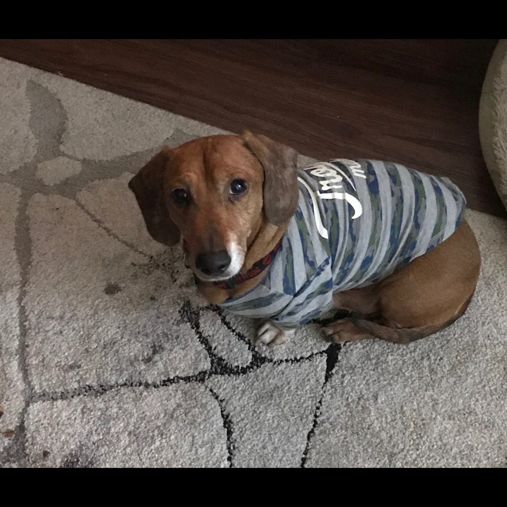 Meet your Posher, Pierre